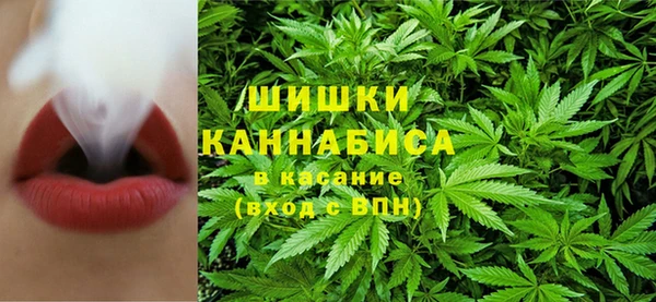 бутират Мегион