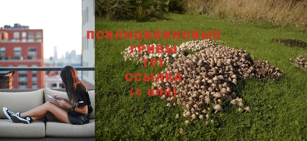 кокаин перу Михайловка