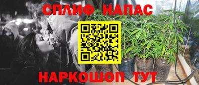 ALPHA PVP Беслан