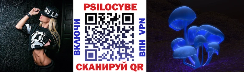 Галлюциногенные грибы Psilocybe  Заринск 