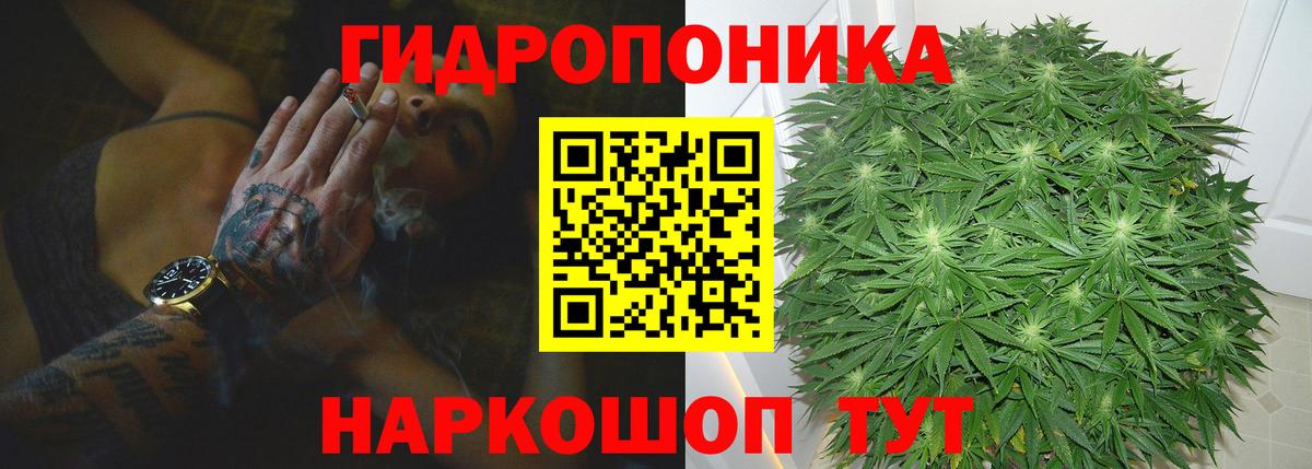 Бошки марихуана THC 21% Заринск